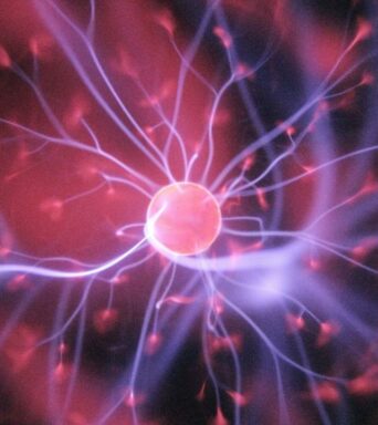 Understanding Neuroplasticity